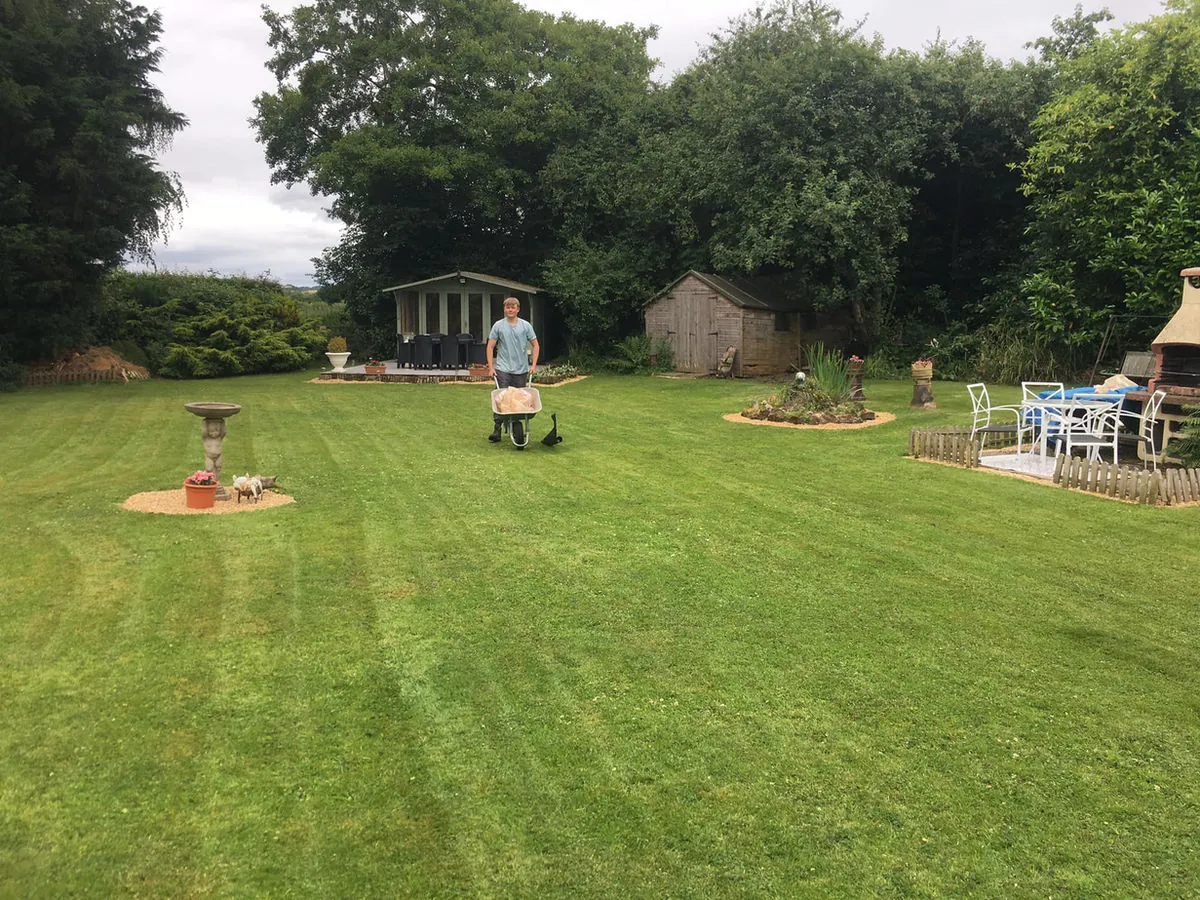 Large maintained lawn with defined garden areas