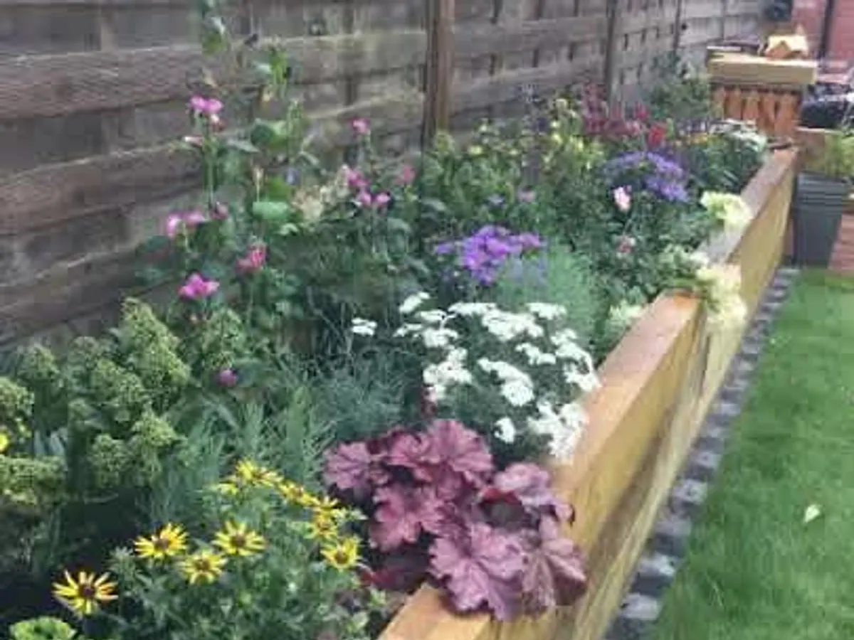Colourful planting in a raised garden border